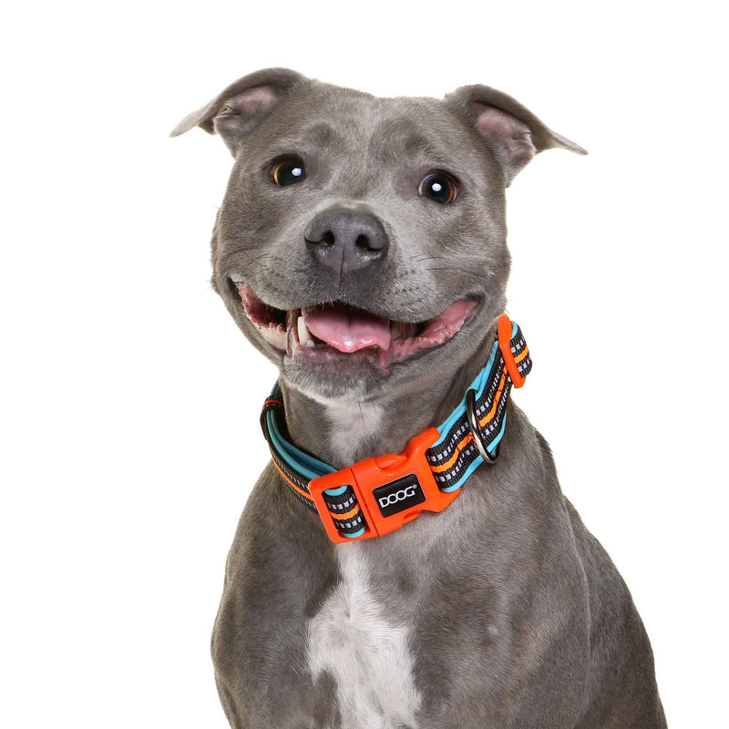 Load image into Gallery viewer, Neoprene Dog Collar Beethoven Neon Orange

