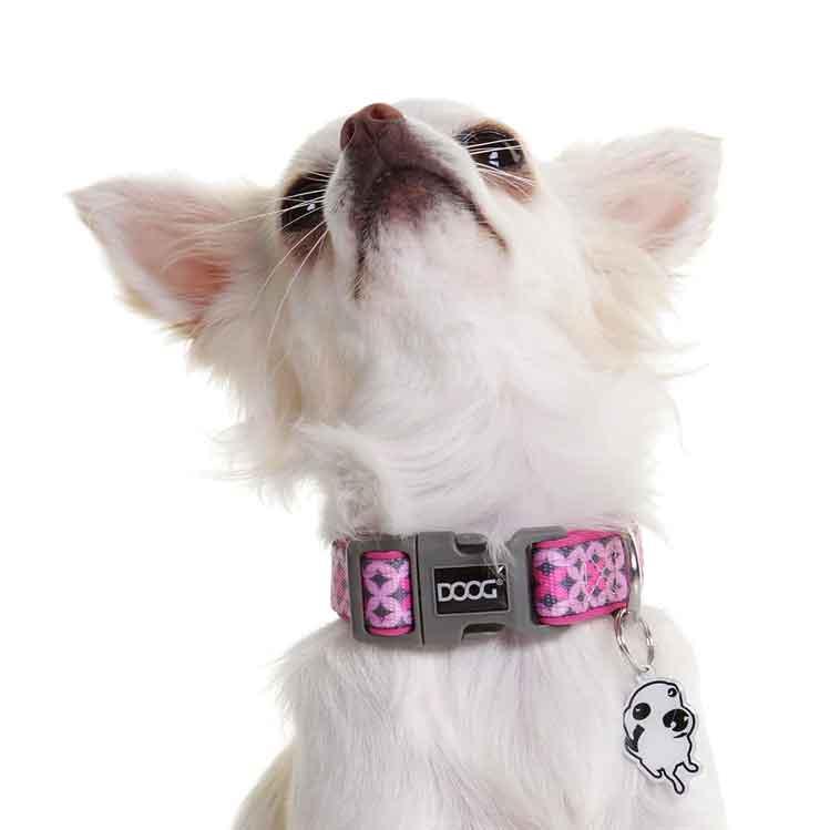 Load image into Gallery viewer, Neoprene Dog Collar Toto Pink
