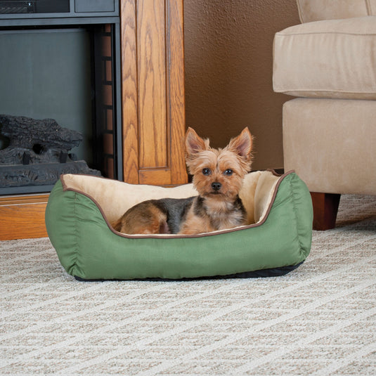 Small dog in dog bed