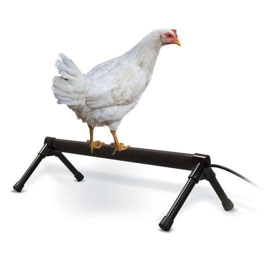 K&H Pet Products Thermo-Chicken Perch