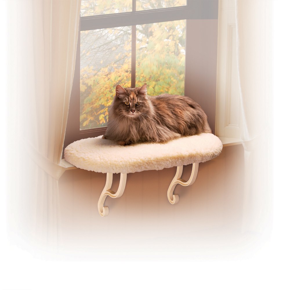 Thermo kitty sill sale