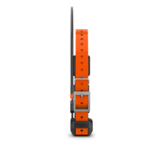 Garmin TT25 Track and Train Collar Orange