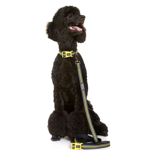 Neoprene Dog Collar Bolt Neon Yellow/Black