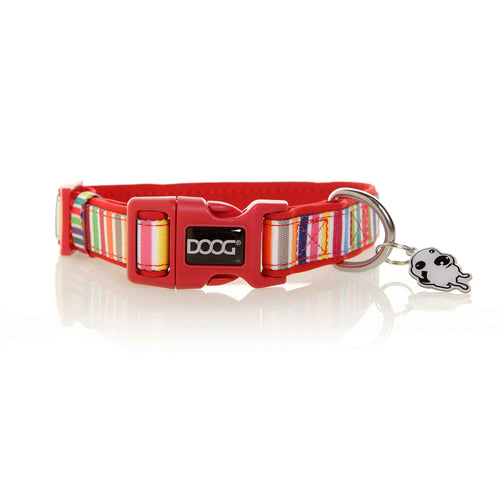 Neoprene Dog Collar Scooby Red/Rainbow