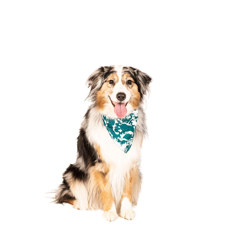 Load image into Gallery viewer, DGS Pet Products Unbugz-It Bandana Abstract
