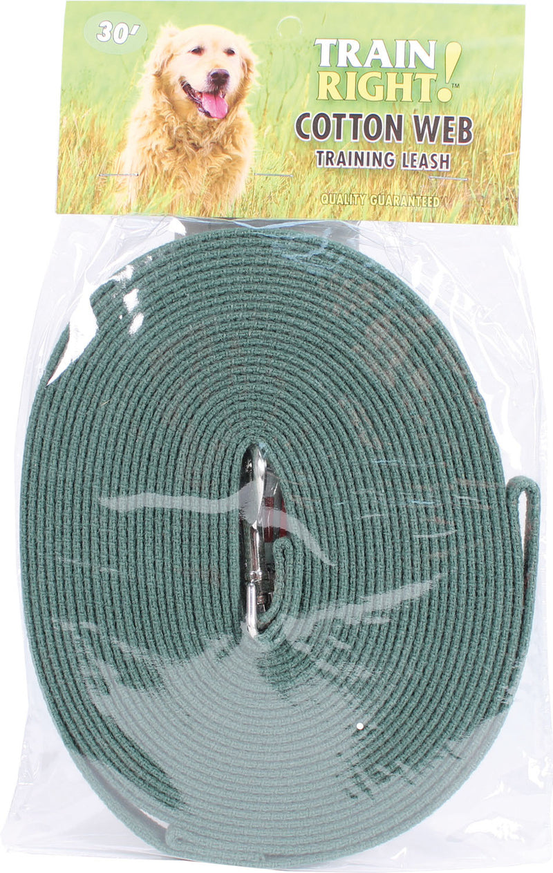 Load image into Gallery viewer, Coastal Pet Products Train Right Cotton Web Training Leash 30ft
