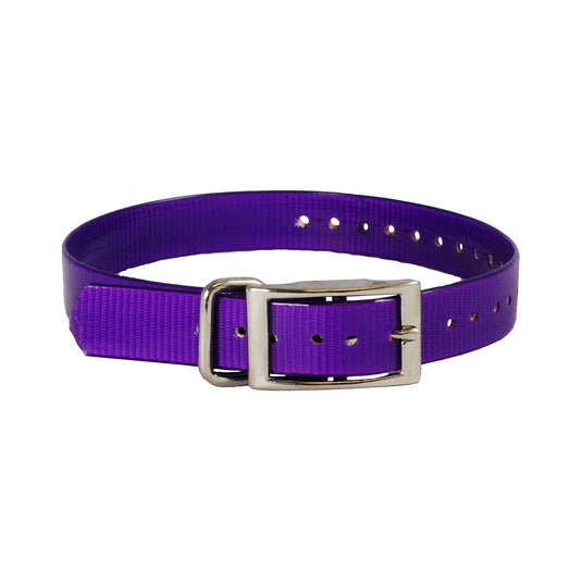 The Buzzard's Roost Replacement Collar Strap 1"