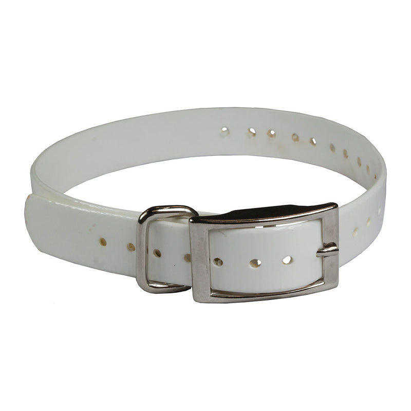 Load image into Gallery viewer, The Buzzard&#39;s Roost Replacement Collar Strap 1&quot;
