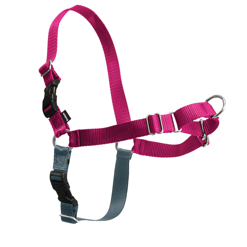 Load image into Gallery viewer, PetSafe Easy Walk Harness Small

