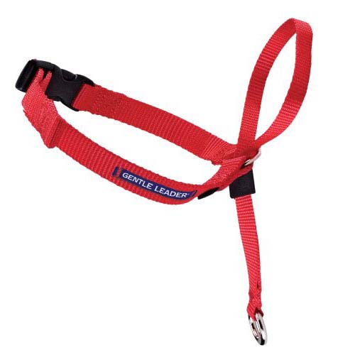 Premier Gentle Leader Quick Release Head Collar Medium