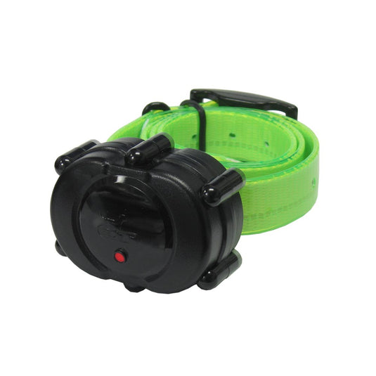 D.T. Systems Micro-iDT Remote Dog Trainer Add-On Collar