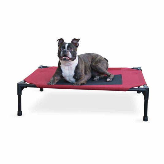 Original Pet Cot Elevated Pet Bed - Medium