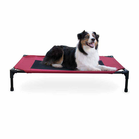 Original Pet Cot Elevated Pet Bed - Large