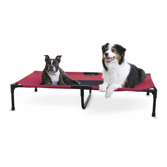 Original Pet Cot Elevated Pet Bed - Extra Large