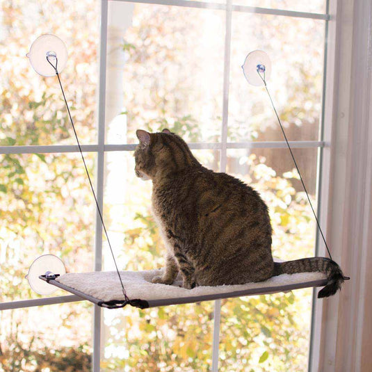 Window Lounger Cat Perch