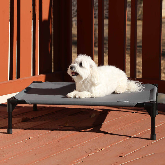 All Weather Pet Cot