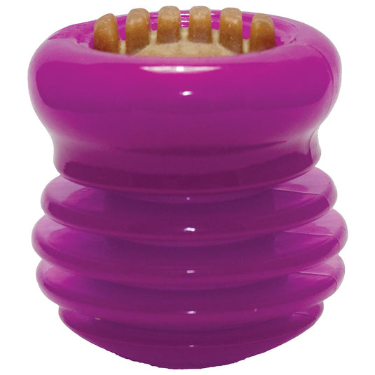 Starmark Dog Everlasting Treat Groovy Ball